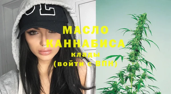 молекула духа Балахна