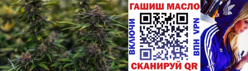 ТГК Wax  Лыткарино 