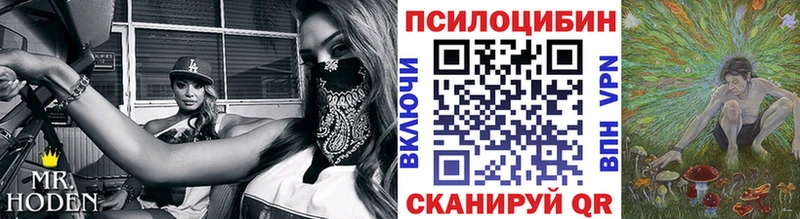 Галлюциногенные грибы Cubensis  цена наркотик  Лыткарино 