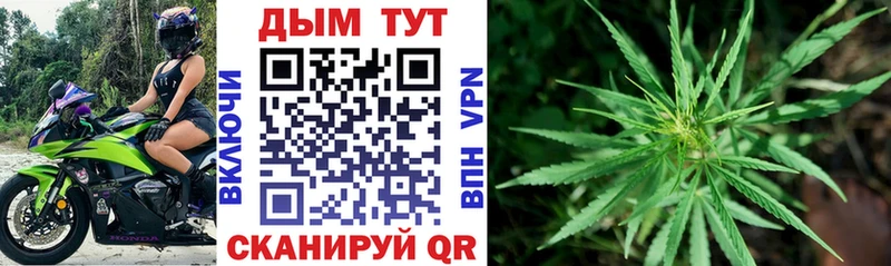 что такое   Лыткарино  Бошки Шишки OG Kush 